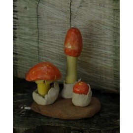 Amanita Cesárea