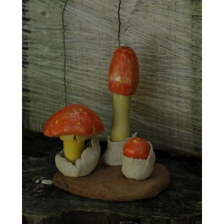 Amanita Cesárea