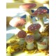 Amanita Muscaria