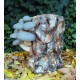 Lámpara Pleurotus ostreatus