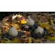 Astraeus o geastrum negro. Cerrada