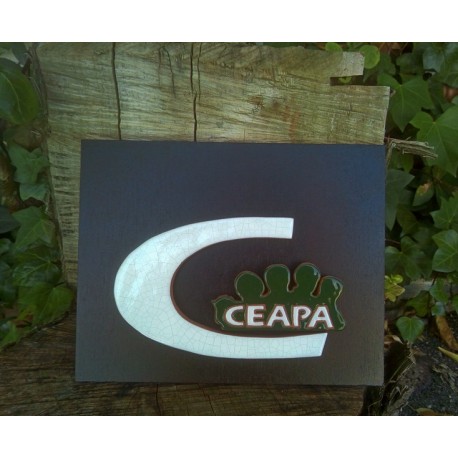 Trofeo CEAPA 2019