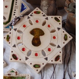 Estrella setas 1