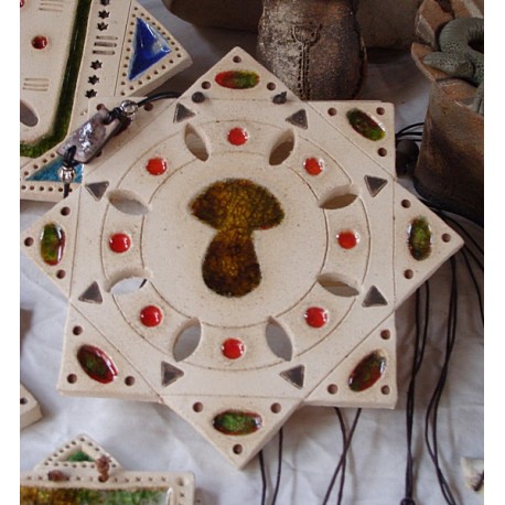 Estrella setas 1