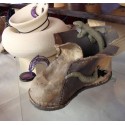 Lagarto bota