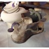 Lagarto bota