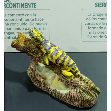 Hylonomus