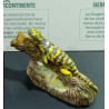 Hylonomus