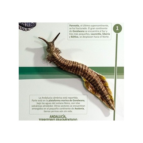 Ichthyostega