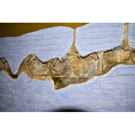 Hylonomus