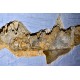 Karst