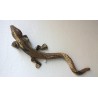 Lagarto de Jaén 2