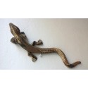 Lagarto de Jaén 3