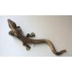 Lagarto de Jaén 5