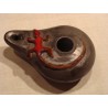 Lucerna lagarto