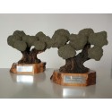 Olivo trofeo 2