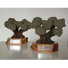 Olivo trofeo 2