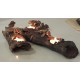 Lagarto tronco
